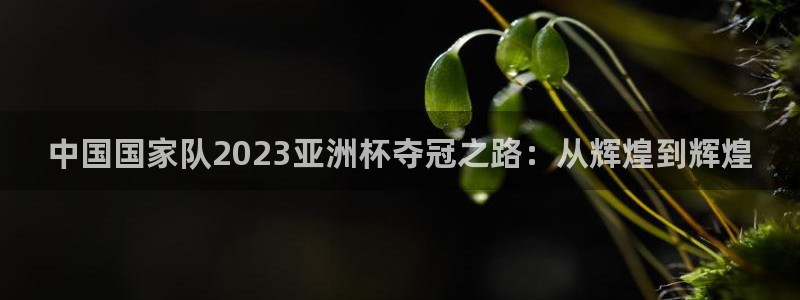 2026葡萄牙杯赛程表:中国国家队2023亚洲杯夺冠之路:从辉煌到辉煌